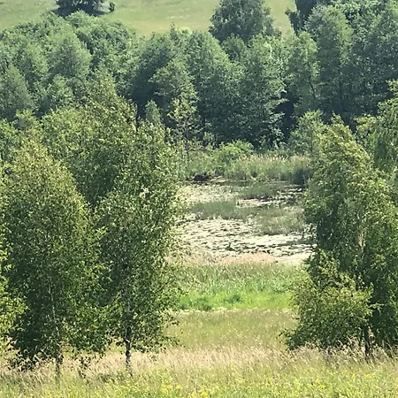 Ostoja Nad Jeziorem * Zywki