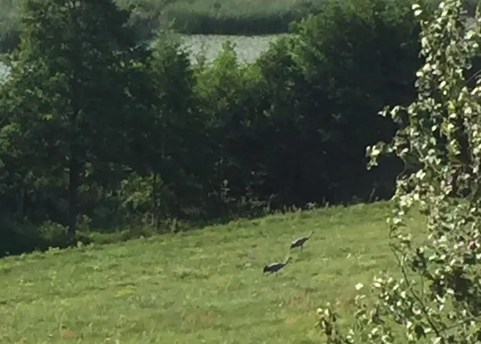 Ostoja Nad Jeziorem Zywki